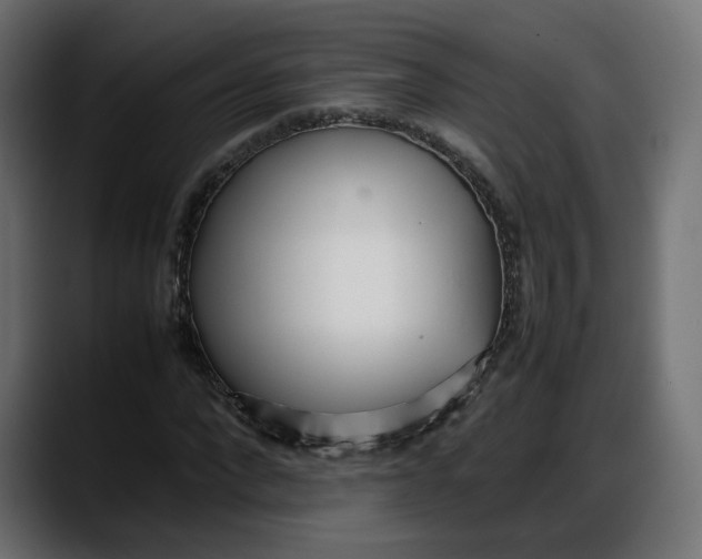 X0000087750872200705291031