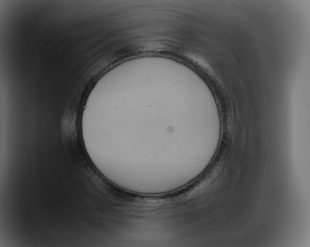 X0000087750873200705291031