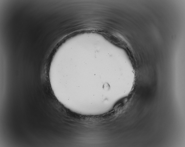 X0000087750875200705291031