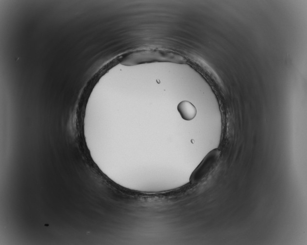 X0000087750876200705291031