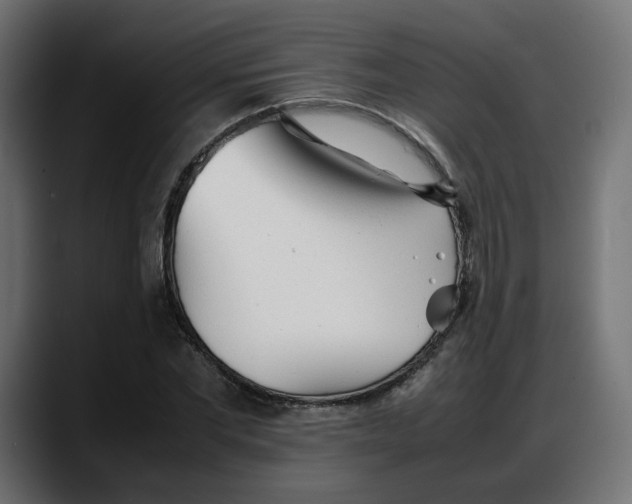 X0000087750877200705291031