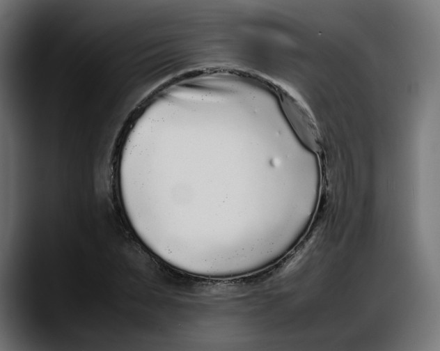 X0000087750879200705291031