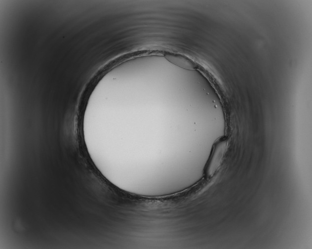 X0000087750880200705291031