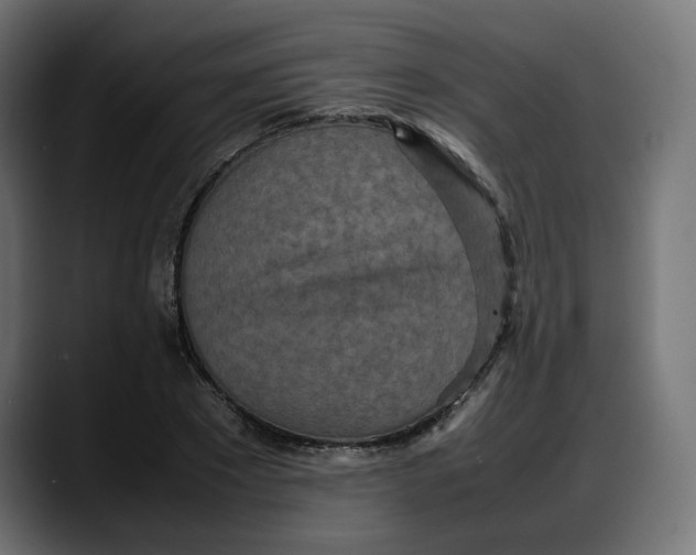 X0000087750881200705291031