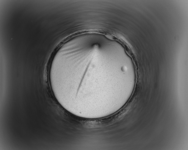 X0000087750883200705291031