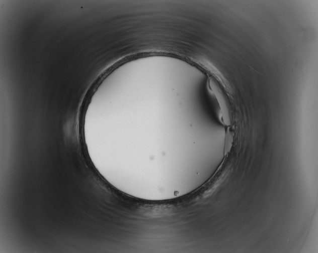 X0000087750884200705291031