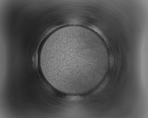 X0000087750886200705291031