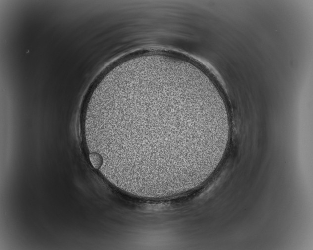 X0000087750887200705291031