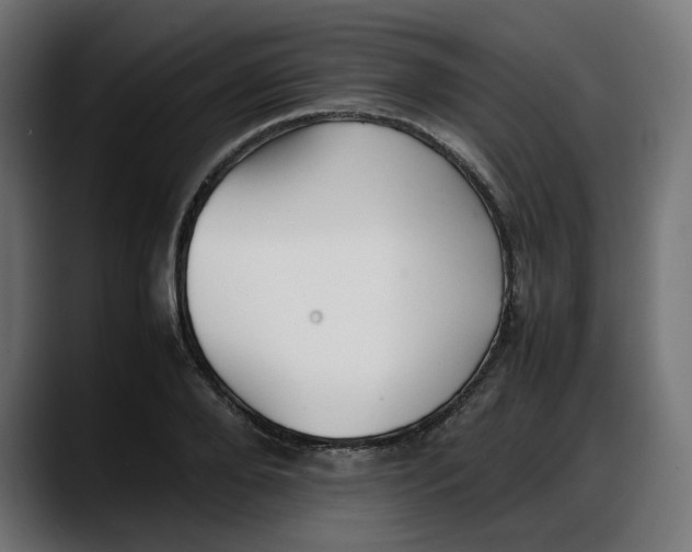 X0000087750888200705291031