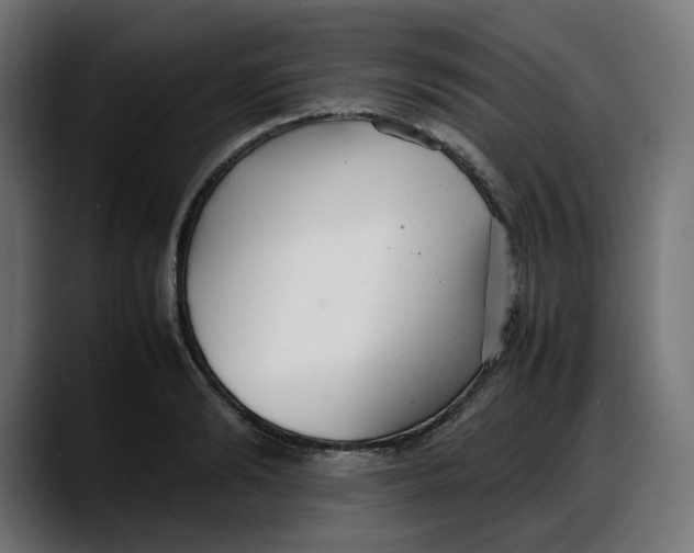 X0000087750894200705291031