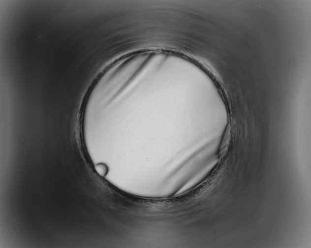 X0000087750895200705291031