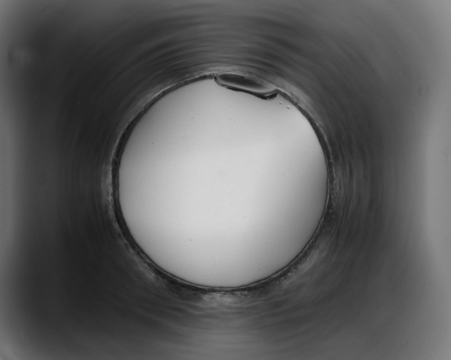 X0000087750898200705291031