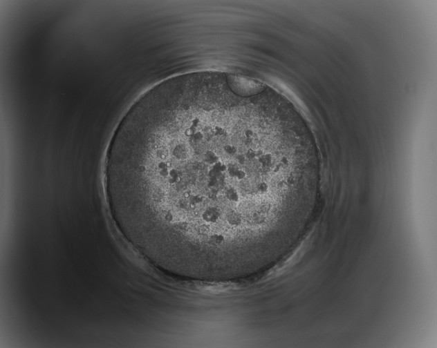 X0000087750899200705291031