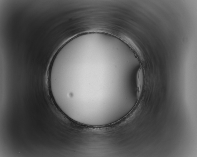 X0000087750900200705291031