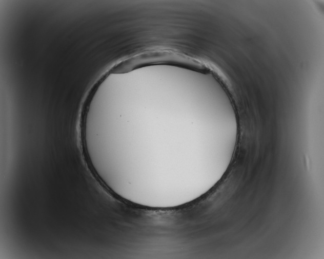 X0000087750902200705291031