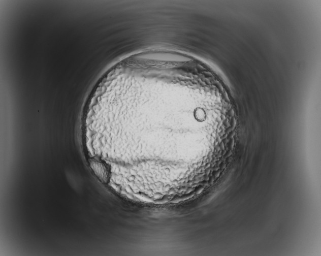 X0000087750903200705291031