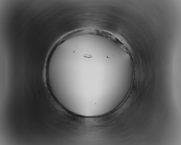 X0000087750904200705291031