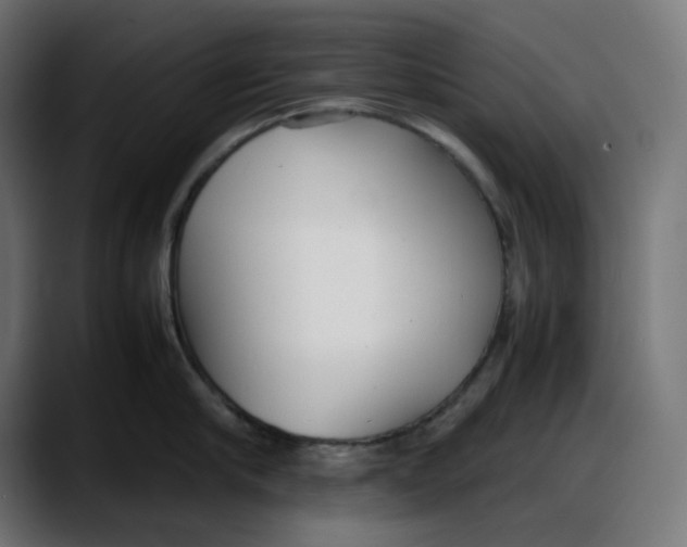 X0000087750910200705291031