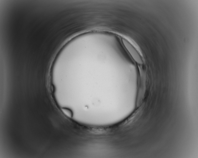 X0000087750911200705291031