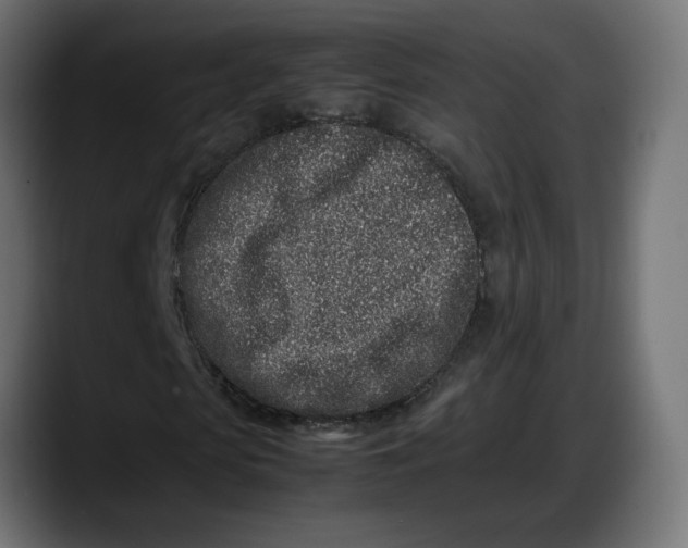 X0000087750913200705291030