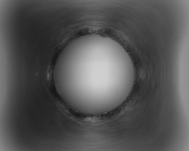 X0000087750914200705291030