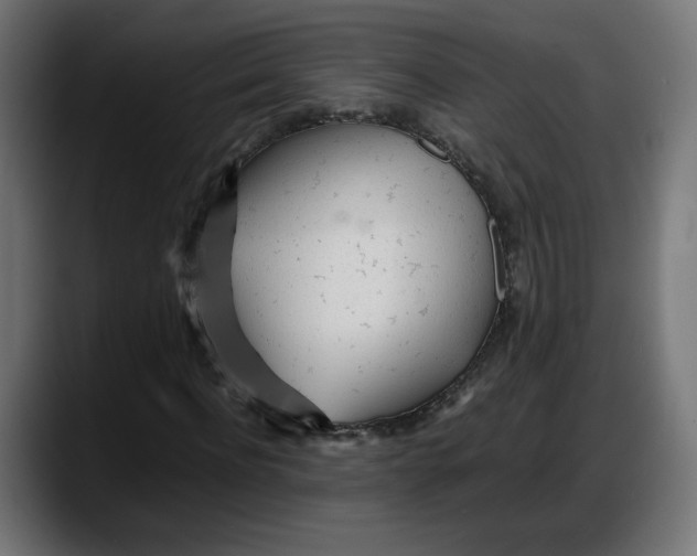 X0000087750916200705291030