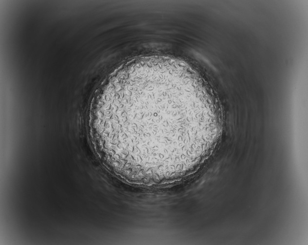 X0000087750917200705291030