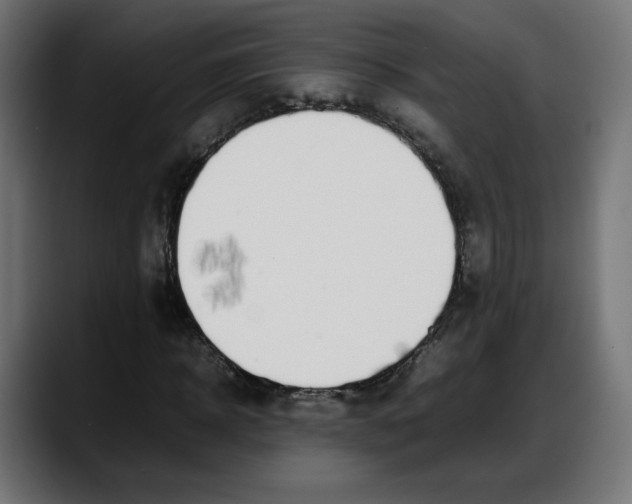 X0000087750918200705291030