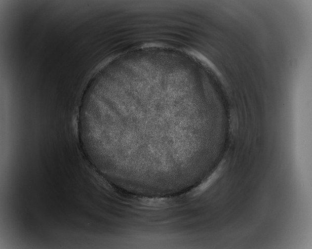 X0000087750921200705291030