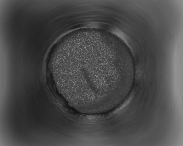 X0000087750923200705291030