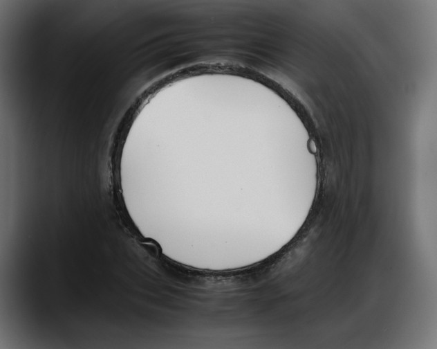 X0000087750927200705291030