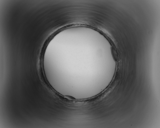 X0000087750928200705291030