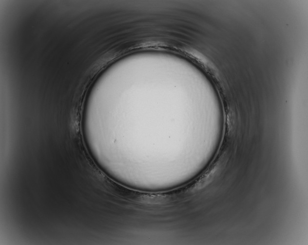 X0000087750929200705291030