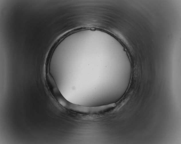 X0000087750932200705291030