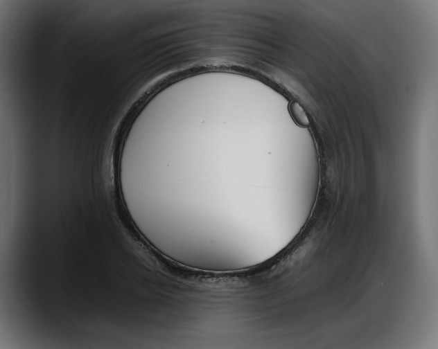 X0000087750934200705291030