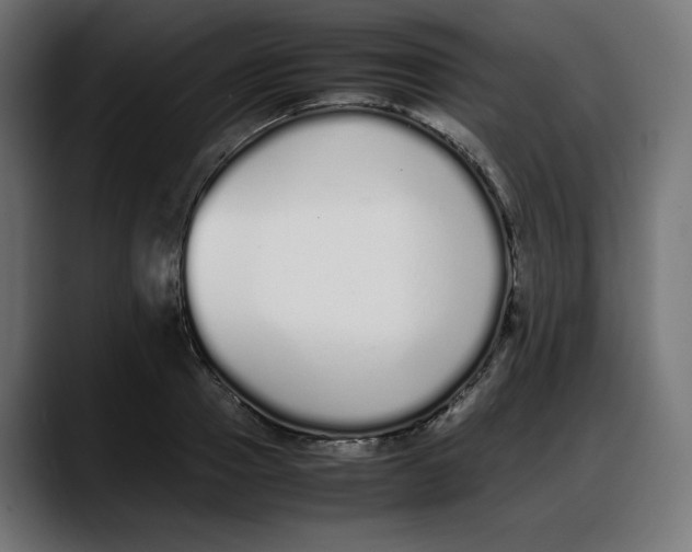 X0000087750937200705291030