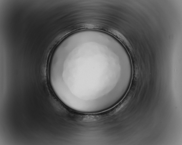 X0000087750938200705291030