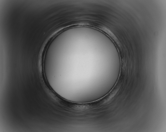 X0000087750939200705291030