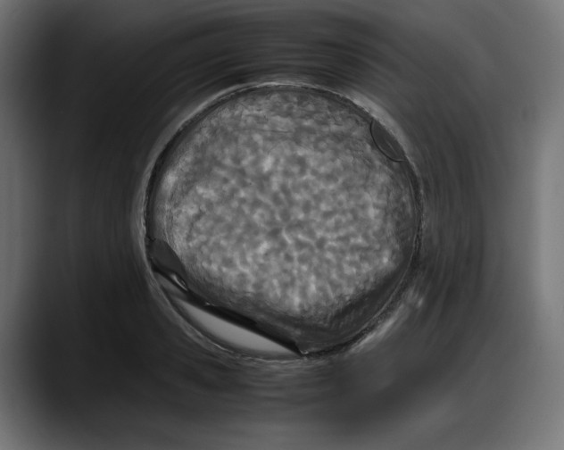 X0000087750941200705291031