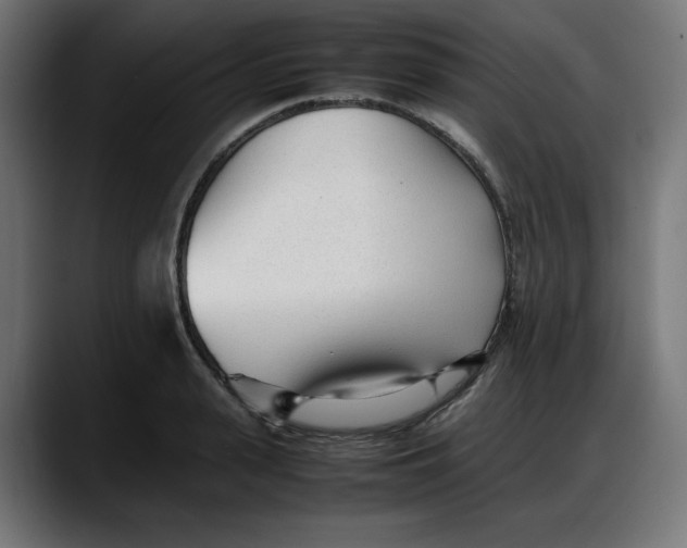 X0000087750943200705291031