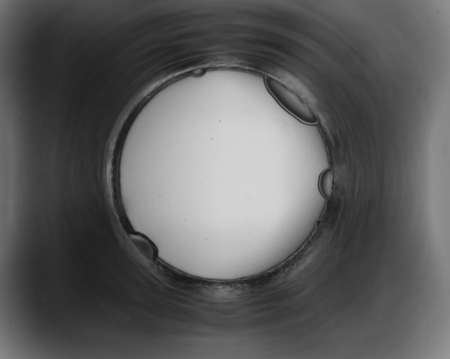 X0000087750947200705291031