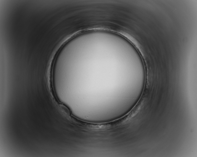 X0000087750949200705291031