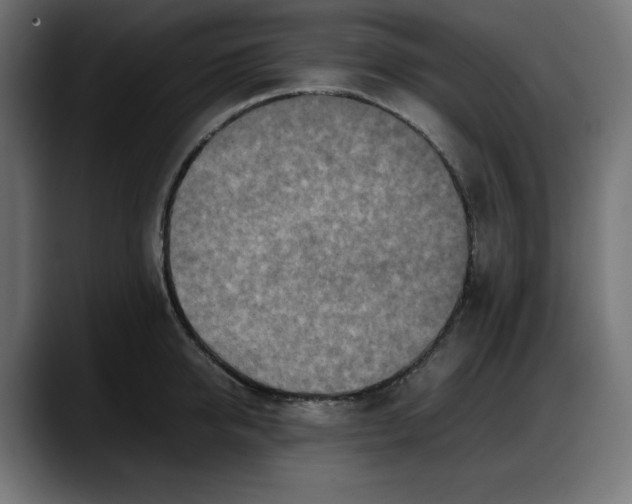 X0000087750950200705291031