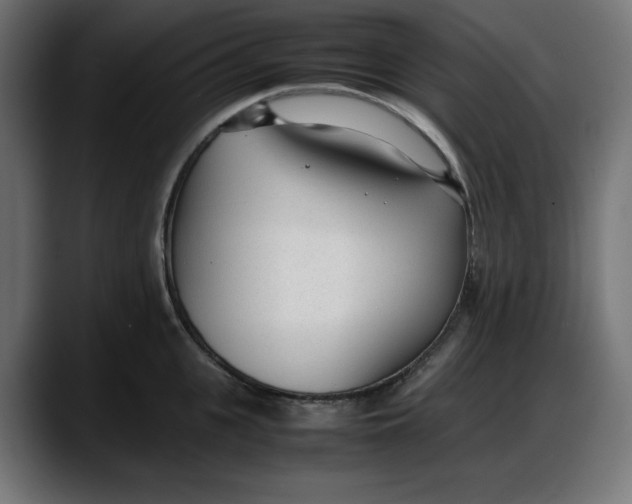 X0000087750951200705291031