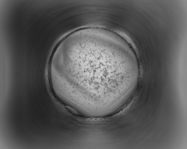 X0000087750952200705291031