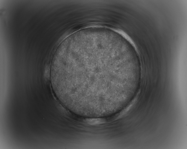 X0000087750953200705291031