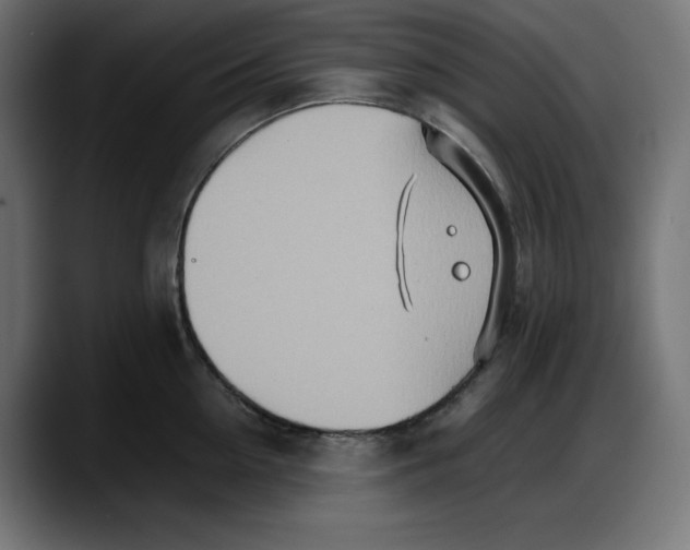 X0000087750954200705291031