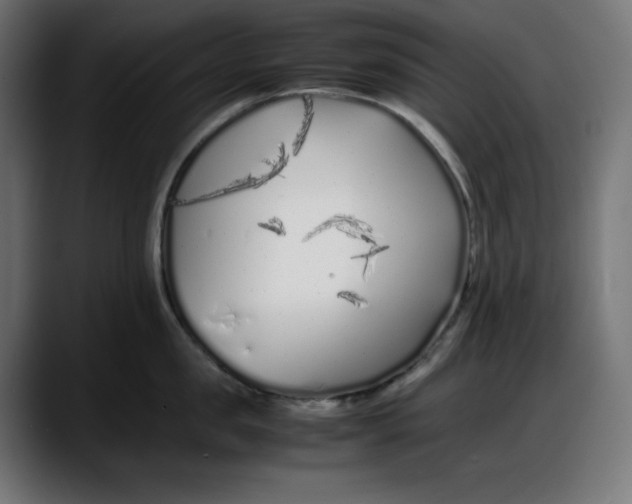 X0000087750957200705291031