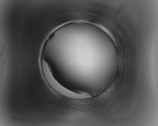 X0000087750959200705291031