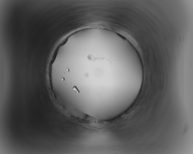 X0000087750960200705291031